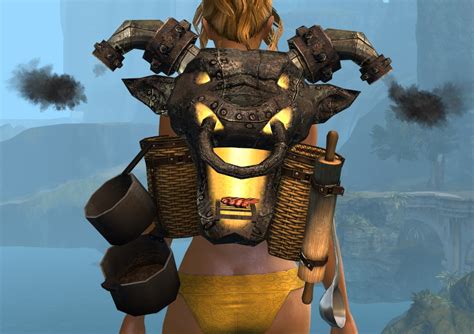 gw2 infused backpack.